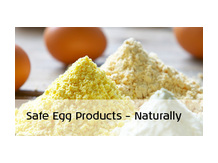 сухой яичный желток (термостабильный)