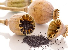 Мак пищевой ООО "ТСК"