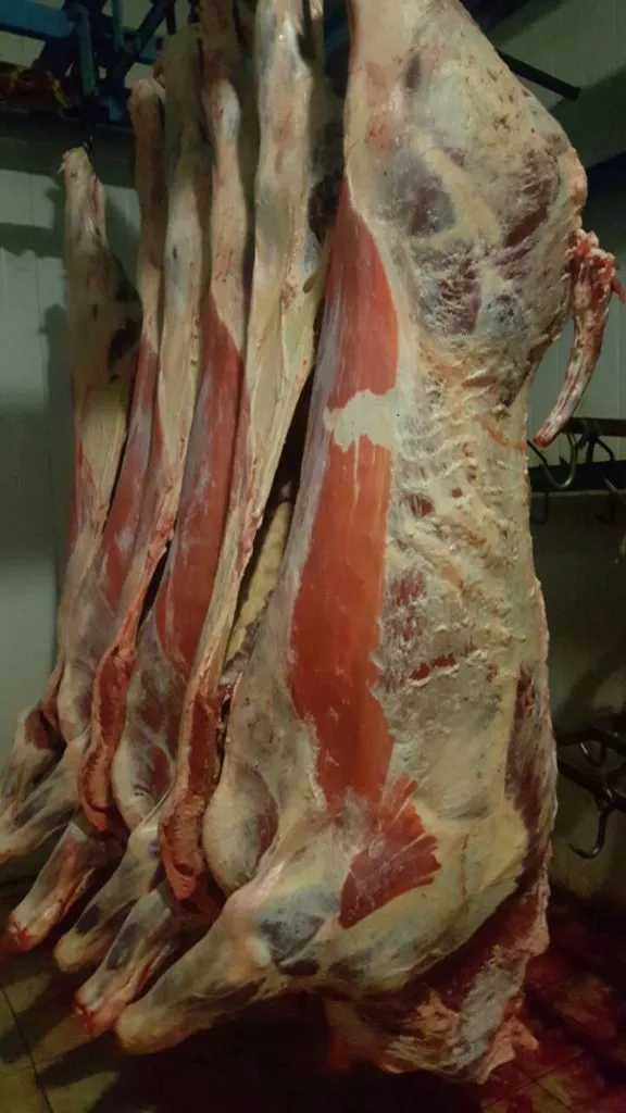 Фотография продукта Мясо говядина