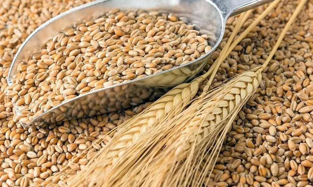 Фотография продукта Реализуем Пшеницу